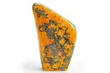 Very Vibrant, Free-Standing Polished Bumblebee Jasper #312070-1